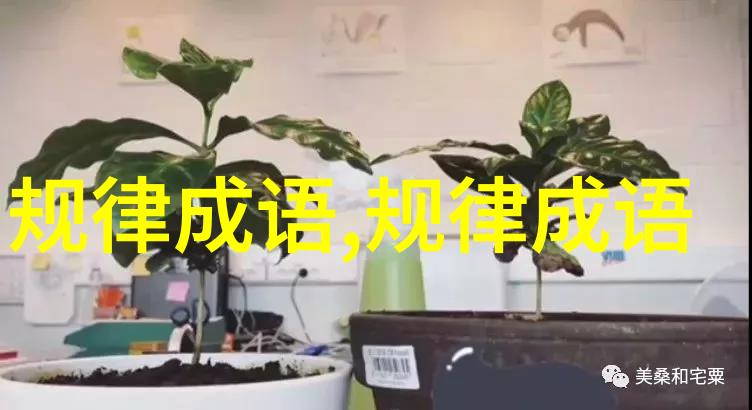 铺谋定计的成语解释意思