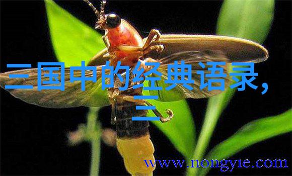 毛发悚立