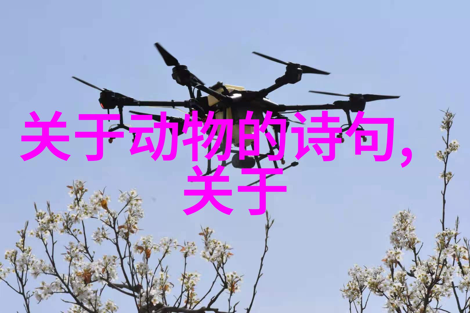 不清不白