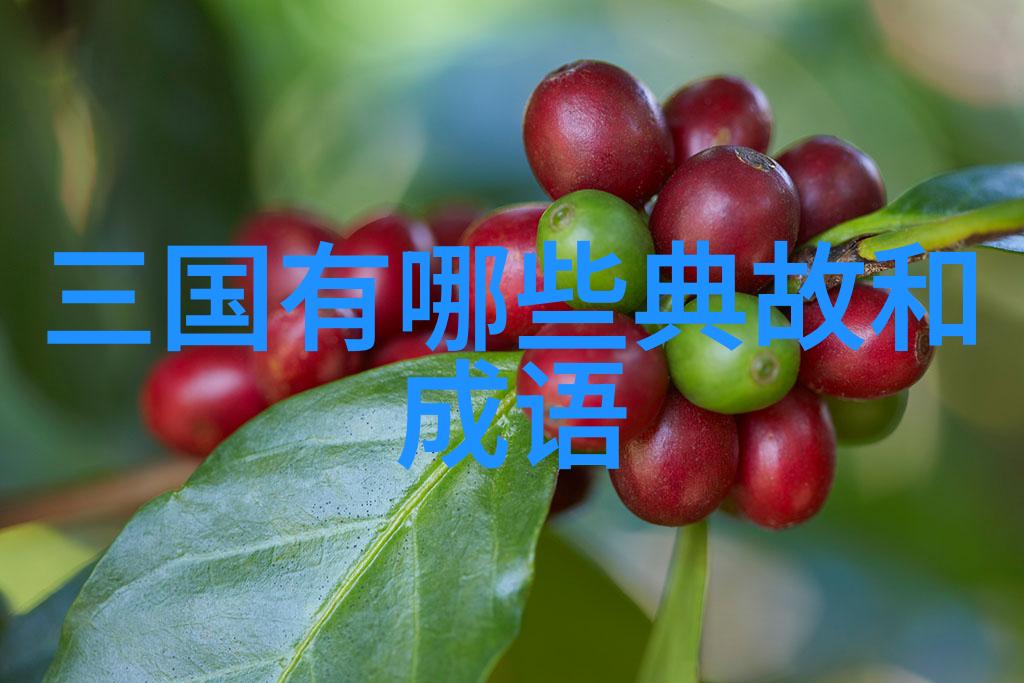 一身是胆的意思出处近义词反义词