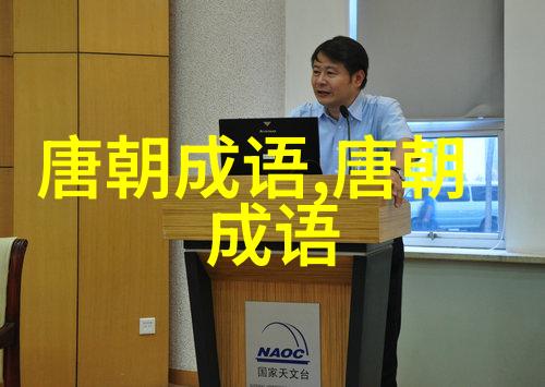 火树银花的意思出处近义词反义词